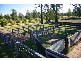 133  Roughit Lane, Singleton NSW 2330