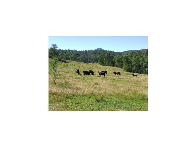 Howes Valley NSW 2330