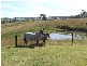 168  Pioneer Road, Singleton NSW 2330