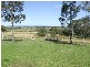 168  Pioneer Road, Singleton NSW 2330