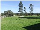 168  Pioneer Road, Singleton NSW 2330