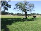 168  Pioneer Road, Singleton NSW 2330