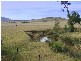 Singleton NSW 2330