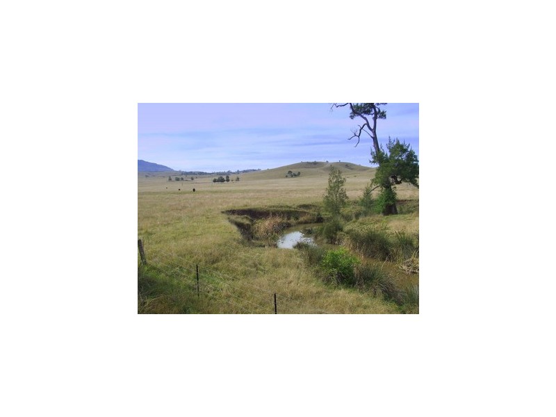 Singleton NSW 2330