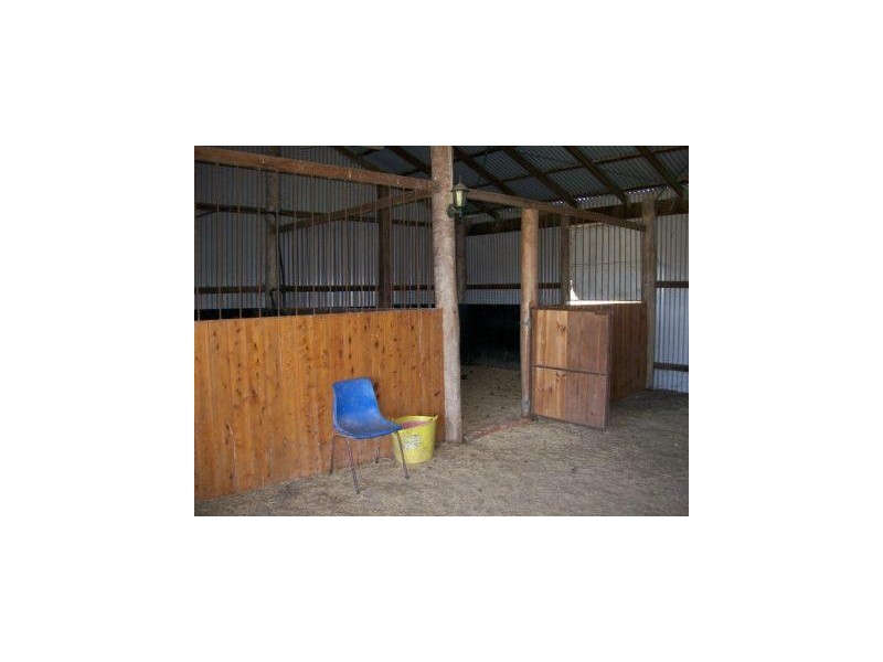 50  Westbrook Lane, Singleton NSW 2330