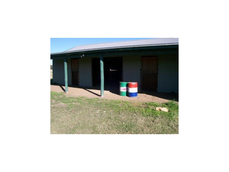 50  Westbrook Lane, Singleton NSW 2330