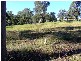 Singleton NSW 2330
