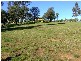 Singleton NSW 2330