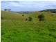 Singleton NSW 2330