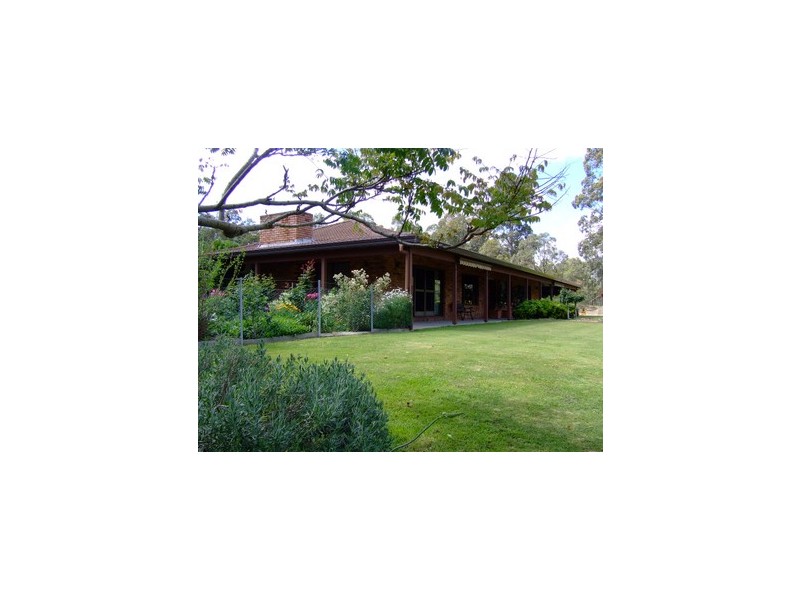 Singleton NSW 2330