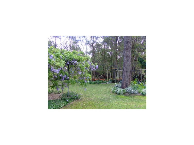 Singleton NSW 2330