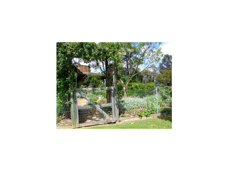 Singleton NSW 2330