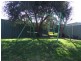 Singleton NSW 2330