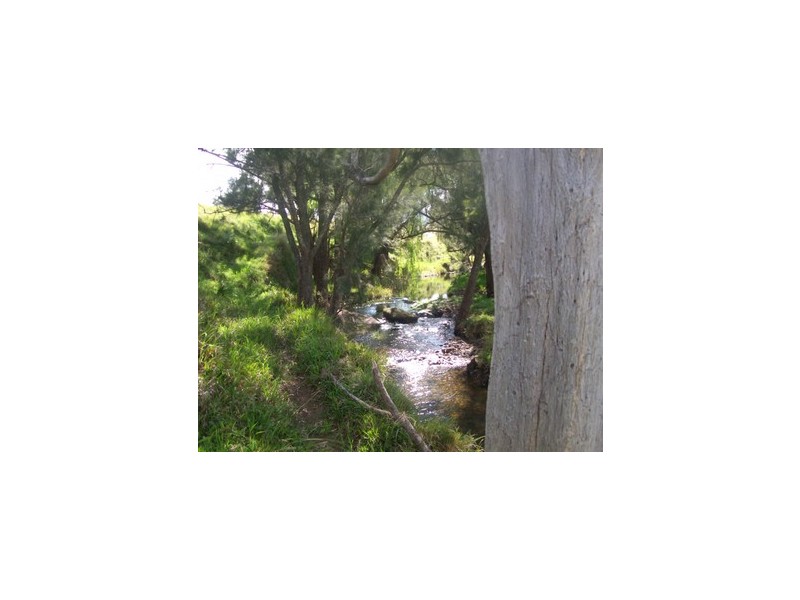 Goorangoola NSW 2330