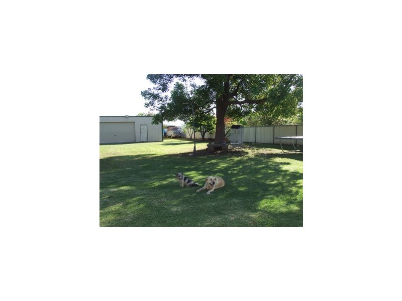 Singleton NSW 2330