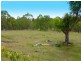Singleton NSW 2330