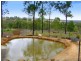 Singleton NSW 2330