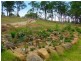 Singleton NSW 2330