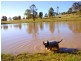 Singleton NSW 2330