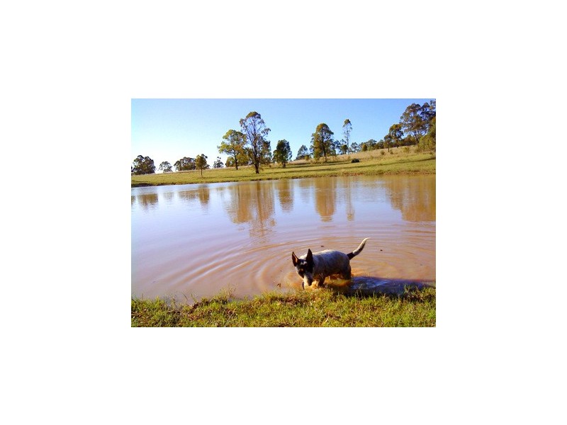 Singleton NSW 2330