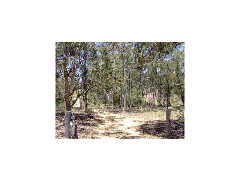 Jerrys Plains NSW 2330