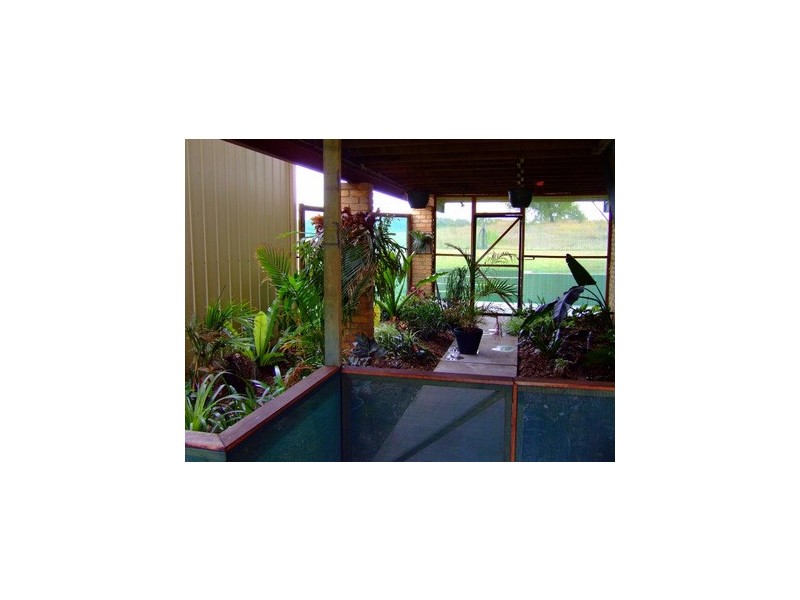 Singleton NSW 2330