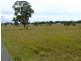 Singleton NSW 2330