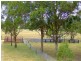 Singleton NSW 2330