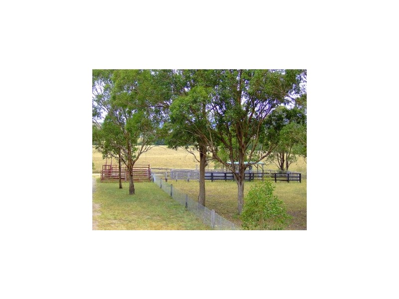 Singleton NSW 2330