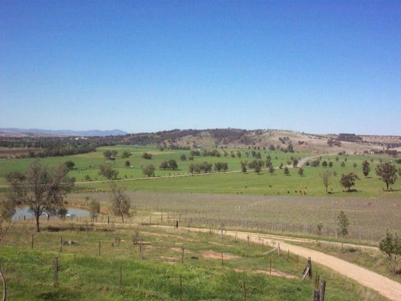 Jerrys Plains NSW 2330