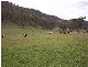 Denman NSW 2328