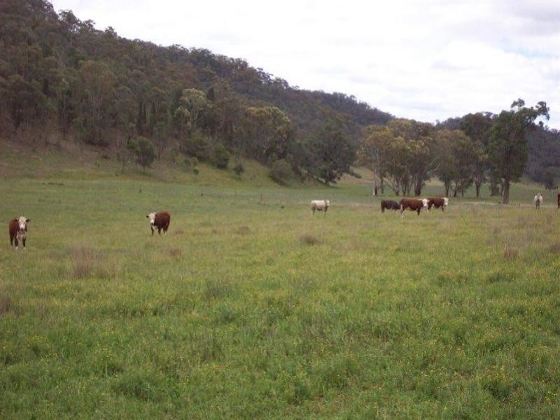 Denman NSW 2328
