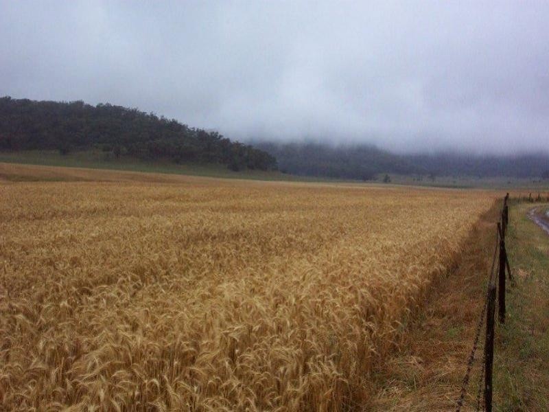 Denman NSW 2328