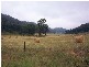 Denman NSW 2328