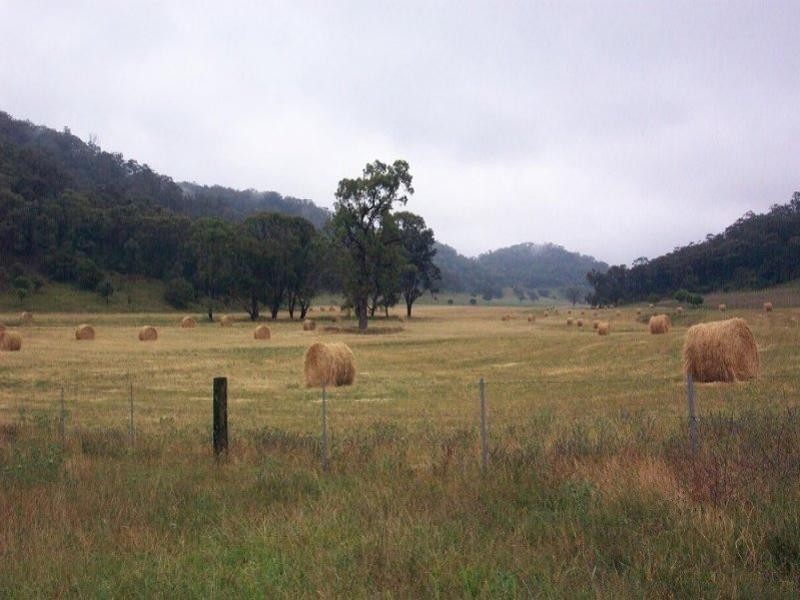 Denman NSW 2328