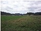 Denman NSW 2328