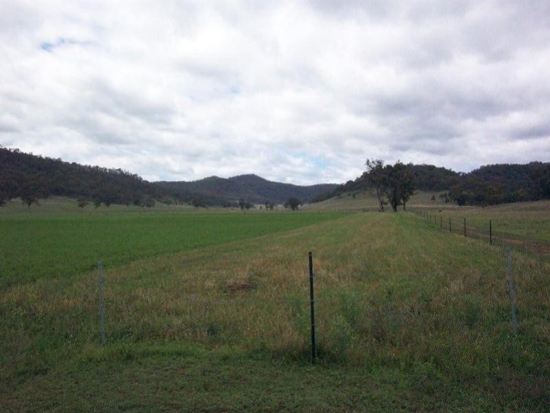 Denman NSW 2328