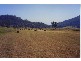 Denman NSW 2328