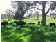 Denman NSW 2328