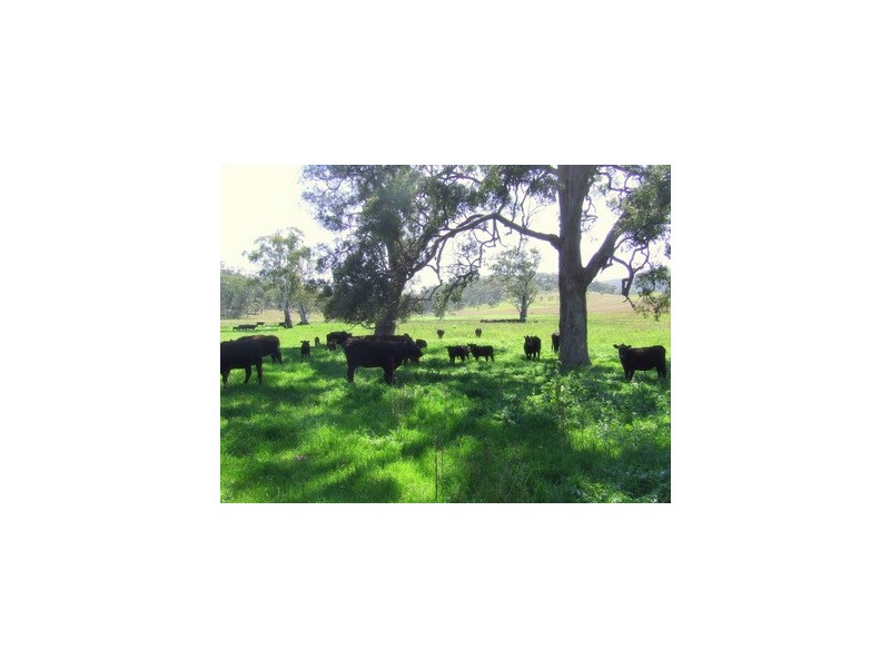 Denman NSW 2328