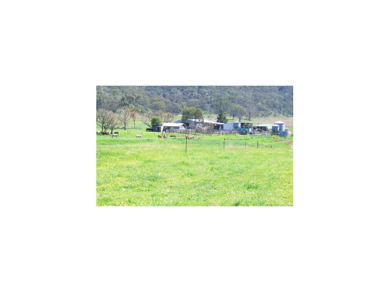 Denman NSW 2328