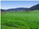 Denman NSW 2328