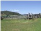 Denman NSW 2328