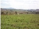 Glennies Creek NSW 2330