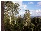 Mount Royal NSW 2330