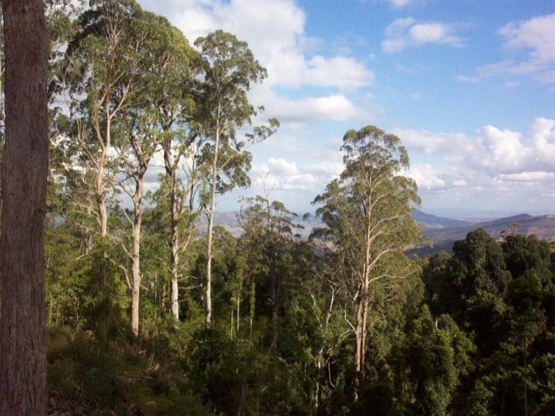Mount Royal NSW 2330