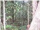 Mount Royal NSW 2330