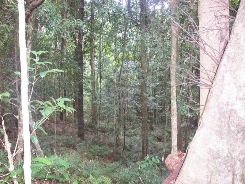 Mount Royal NSW 2330