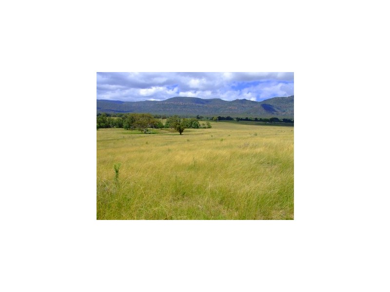 Jerrys Plains NSW 2330