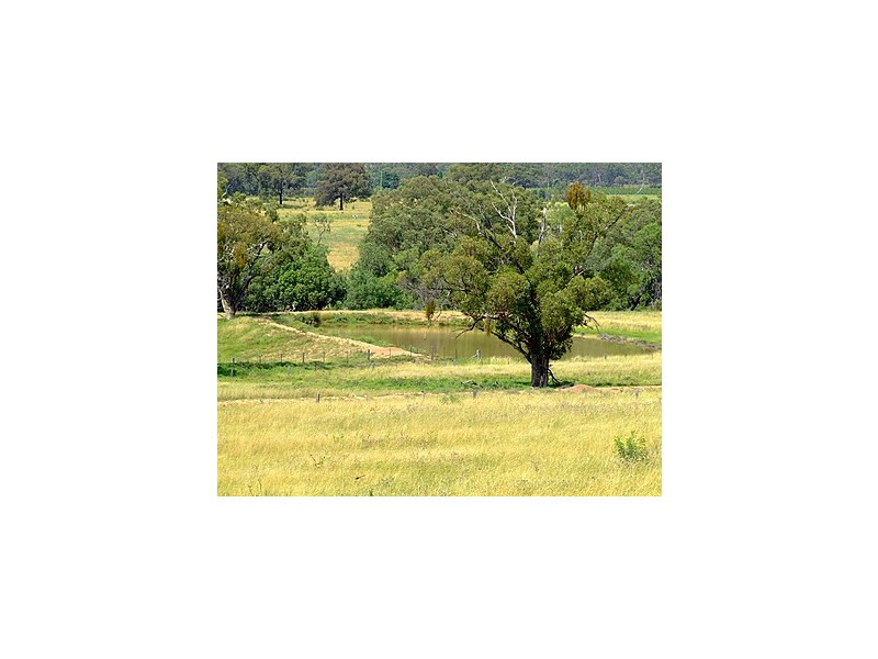 Jerrys Plains NSW 2330